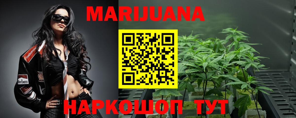 Шишки марихуана LSD WEED  Бошки Шишки план  Будённовск  Марихуана OG Kush 